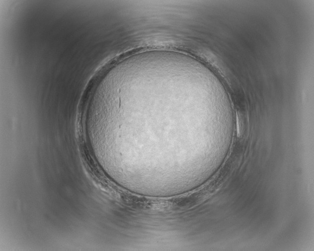 X0000075810579200609291347