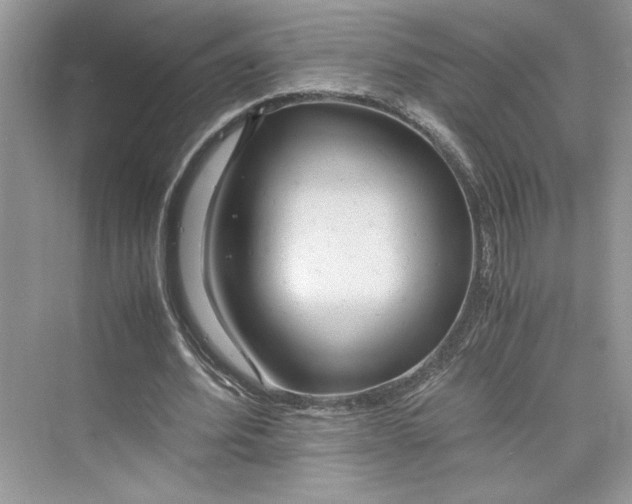 X0000075810580200609291347