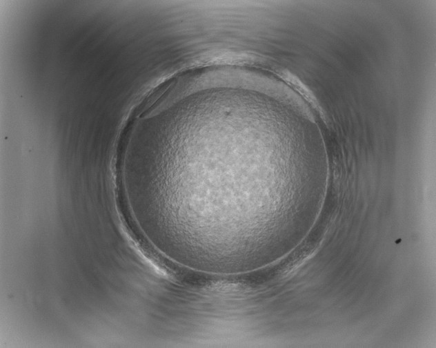 X0000075810581200609291347