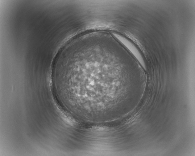 X0000075810582200609291347