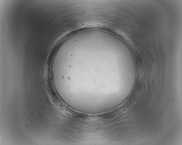 X0000075810583200609291347