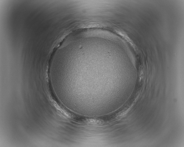 X0000075810585200609291347