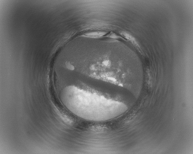 X0000075810586200609291347