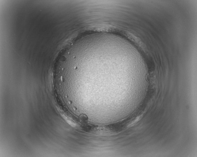 X0000075810589200609291347