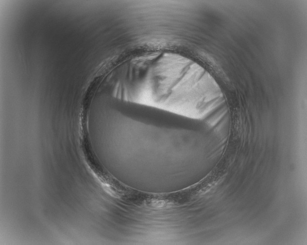 X0000075810590200609291347