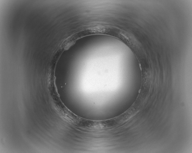 X0000075810600200609291347