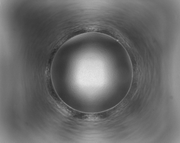 X0000075810601200609291347