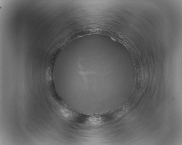 X0000075810606200609291347