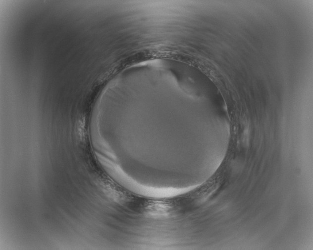 X0000075810610200609291347