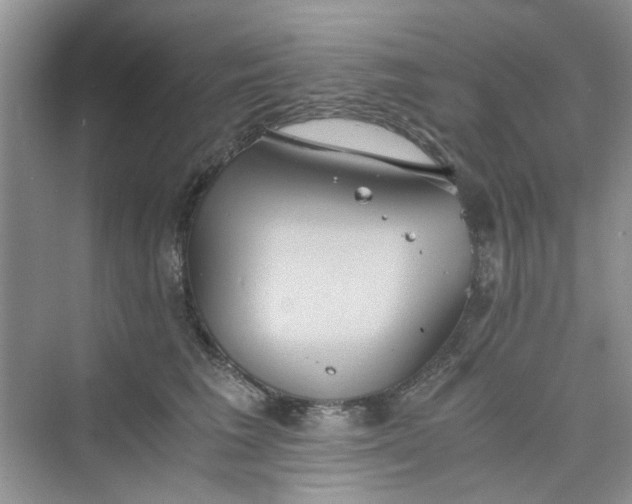 X0000075810613200609291347