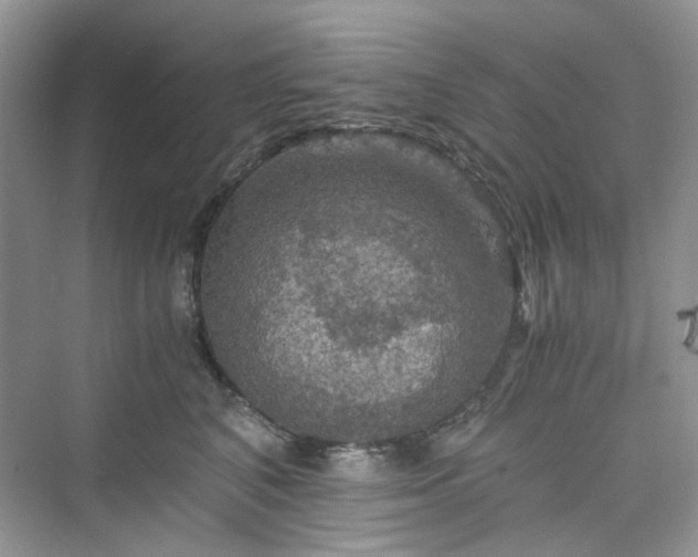 X0000075810616200609291347