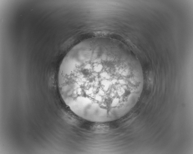 X0000075810619200609291347