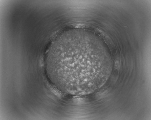 X0000075810620200609291347