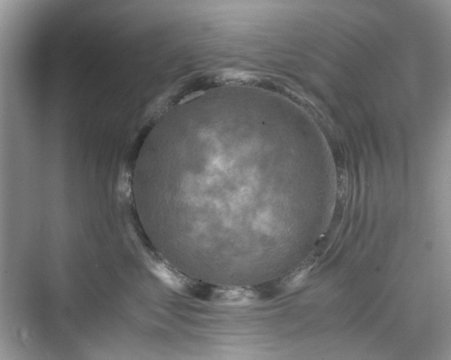 X0000075810621200609291347