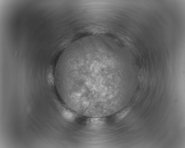 X0000075810622200609291346