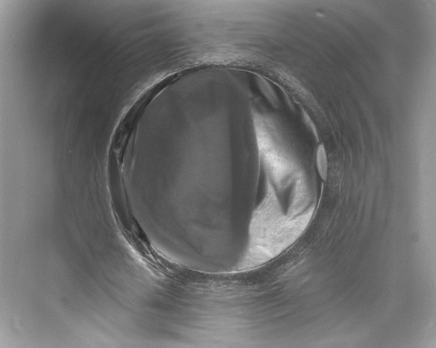 X0000075810626200609291346