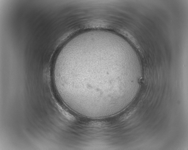 X0000075810629200609291346