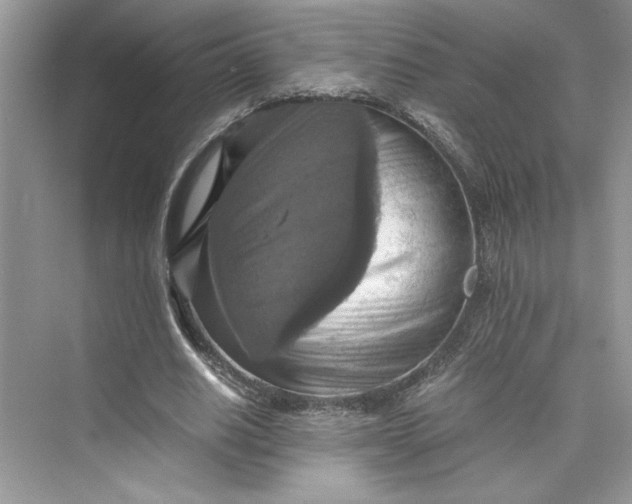 X0000075810630200609291346