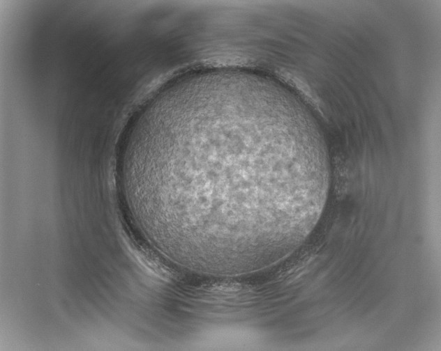 X0000075810631200609291346