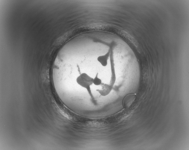 X0000075810633200609291346