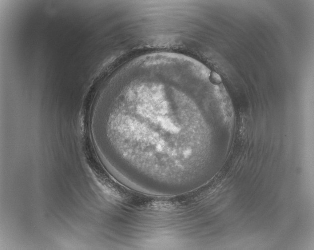 X0000075810636200609291346