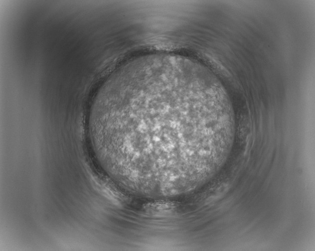 X0000075810639200609291346