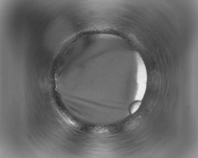 X0000075810640200609291346