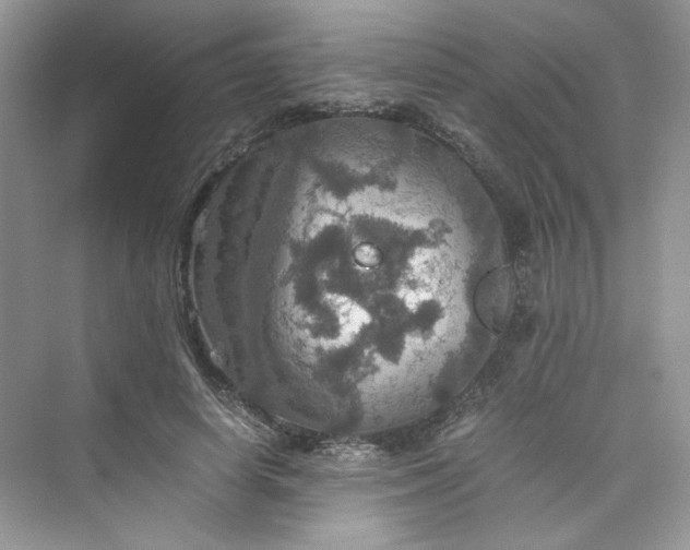 X0000075810642200609291346