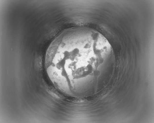 X0000075810646200609291346