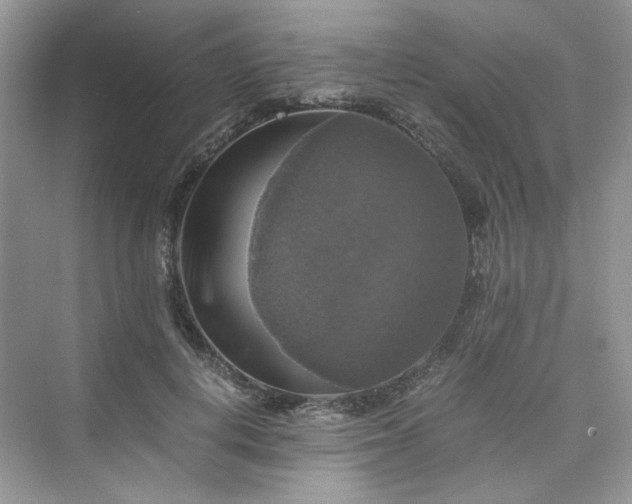 X0000075810648200609291346