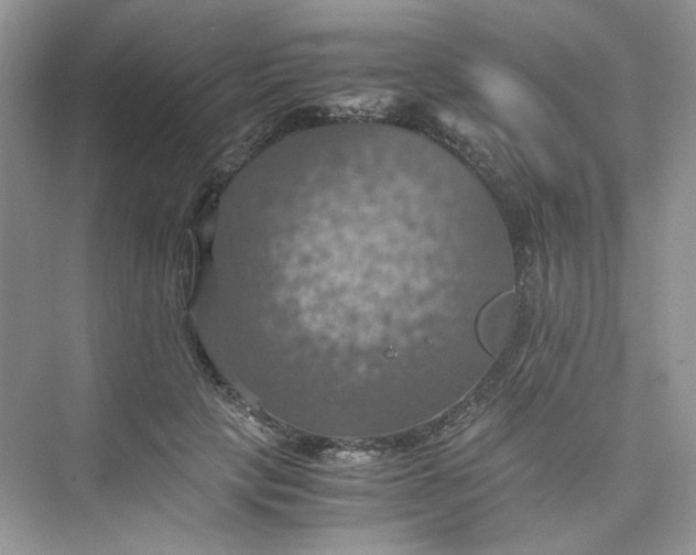 X0000075810649200609291346