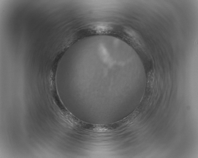 X0000075810650200609291346