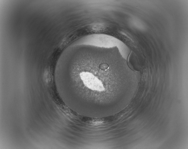 X0000075810651200609291346