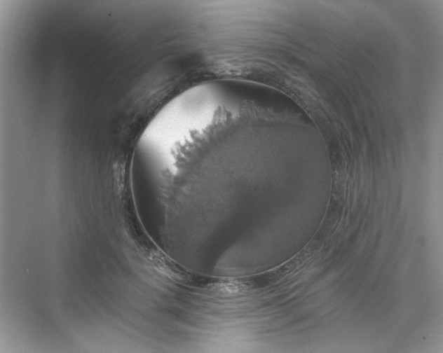 X0000075810652200609291346