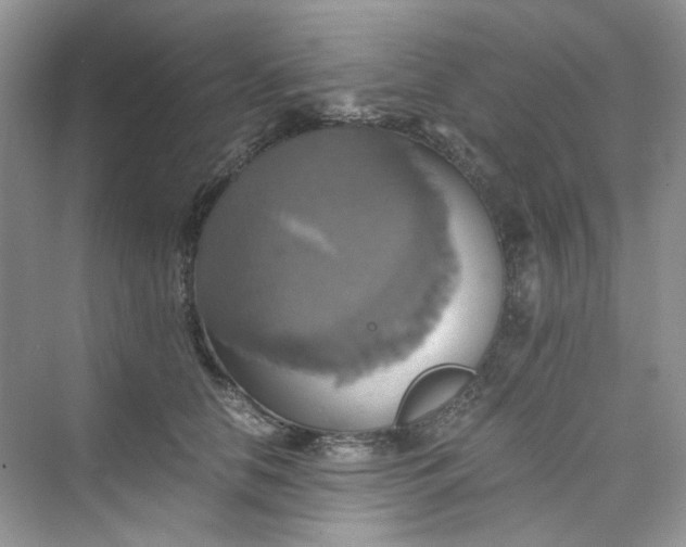 X0000075810658200609291346