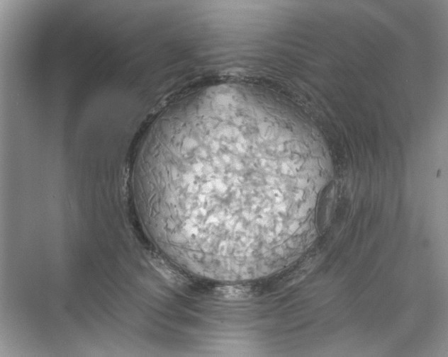 X0000075810660200609291346