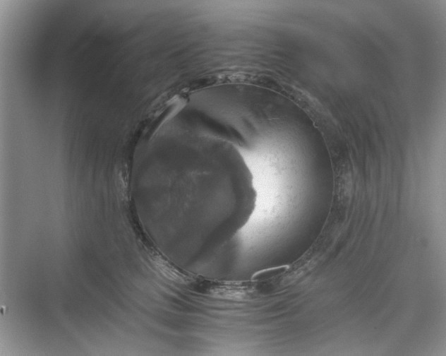 X0000075810661200609291346