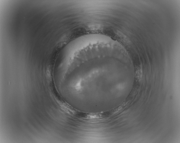 X0000075810662200609291346