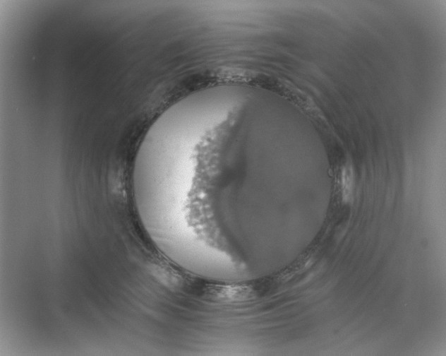 X0000075810663200609291346