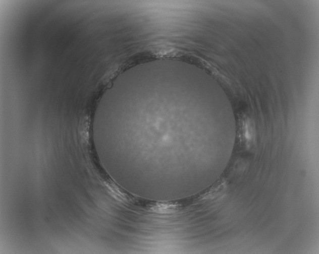 X0000075810664200609291346