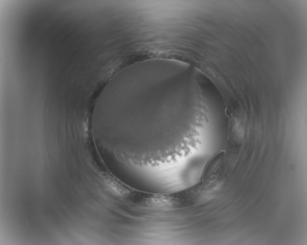 X0000075810668200609291346