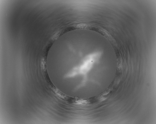 X0000075810669200609291346