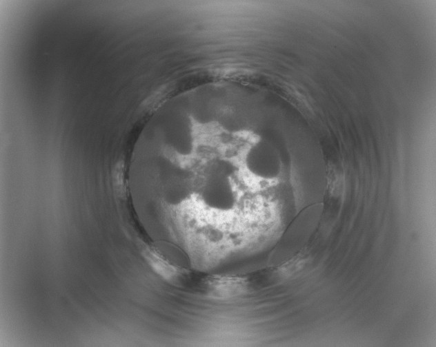 X0000075810670200609291346