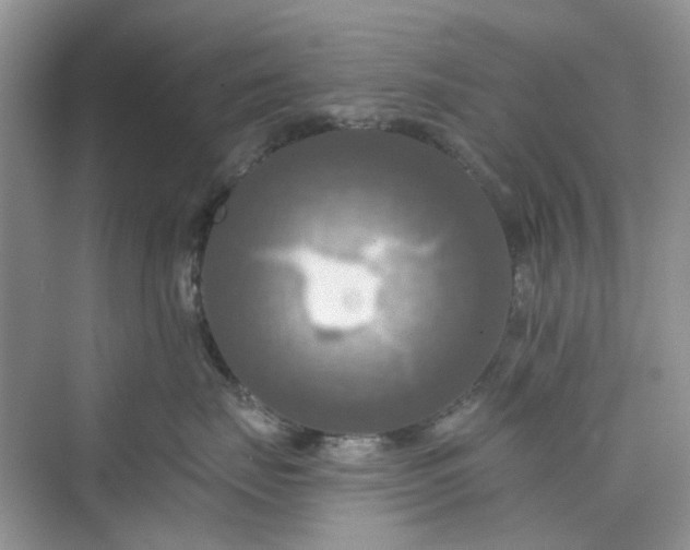 X0000075810671200609291346