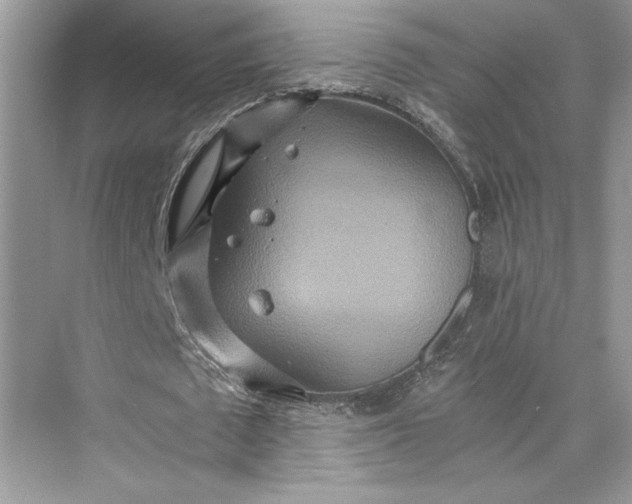 X0000075810673200609291346