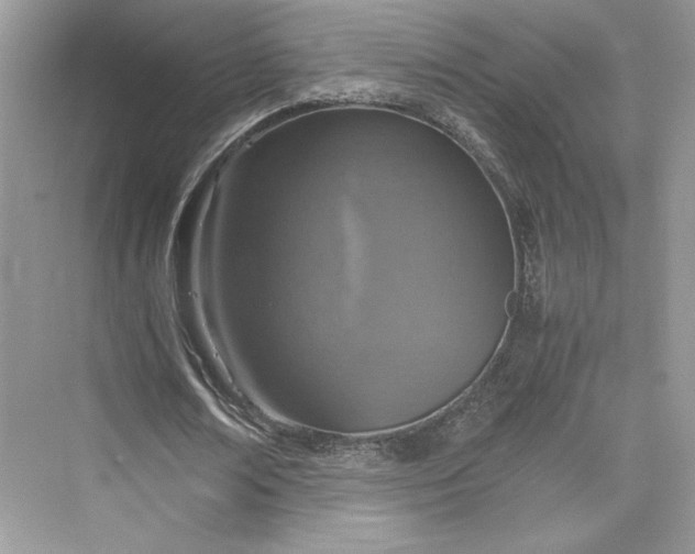 X0000075810674200609291346