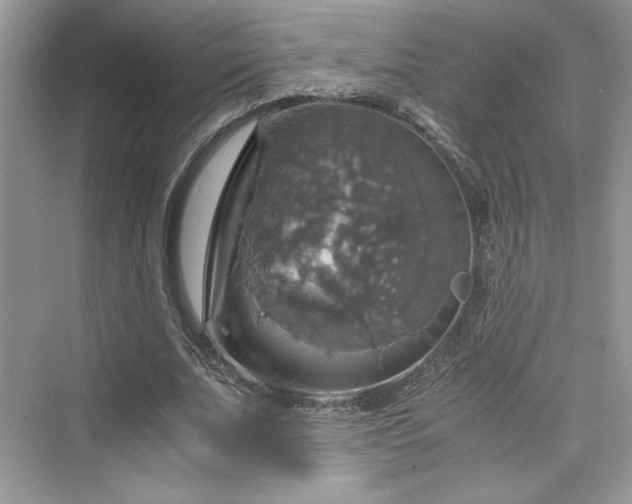 X0000075810679200609291346