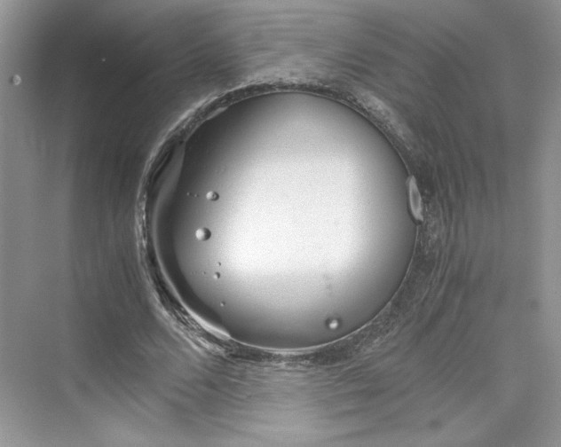 X0000075810680200609291346