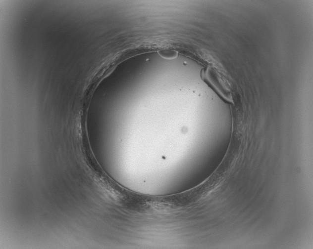 X0000075810681200609291345