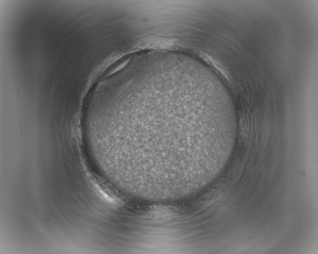 X0000075810682200609291345